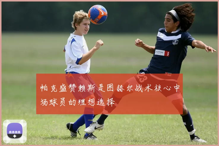 帕克盛赞赖斯是图赫尔战术核心中场球员的理想选择