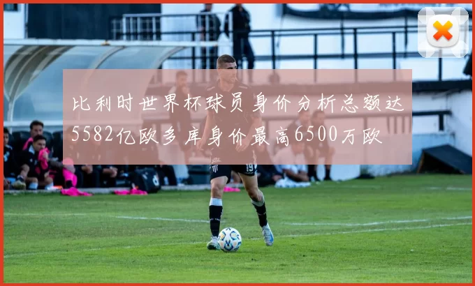 比利时世界杯球员身价分析总额达5582亿欧多库身价最高6500万欧